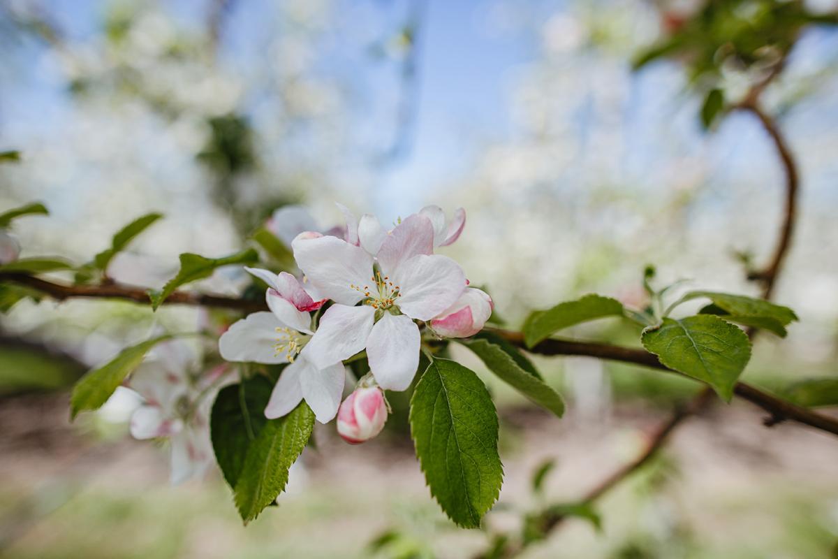 Nature is fascinating