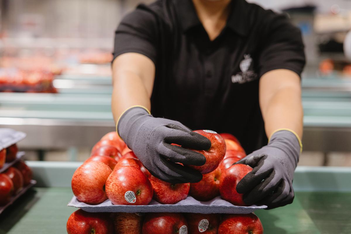 Our 5 point promise in a box.